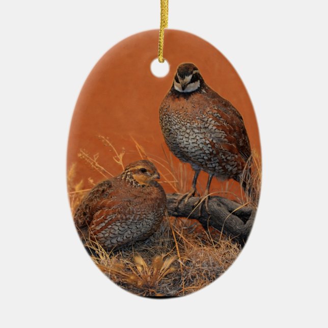 Bobwhite Quail (Georgia, Missouri and Tennessee) Ceramic Ornament (Front)