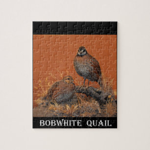 Bobwhite Quail (Georgia, Missouri and Tennessee) Jigsaw Puzzle
