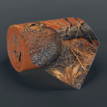 Bobwhite Quail (Georgia, Missouri and Tennessee) Neck Tie<br><div class="desc">The Bobwhite Quail is the state game bird of Georgia, Missouri and Tennessee.</div>