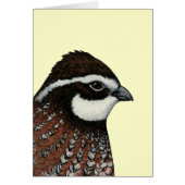 Bobwhite Quail Head (Front)