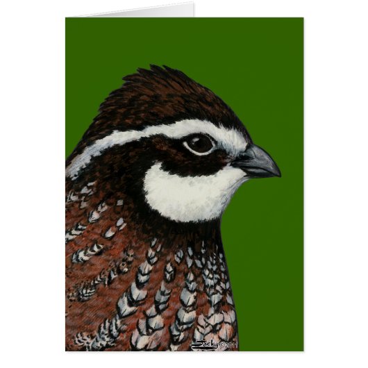 Bobwhite Quail Head Cards (Front)