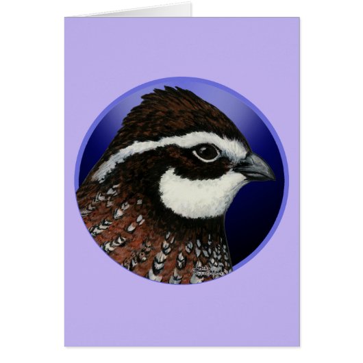Bobwhite Quail Head Circle Cards (Front)