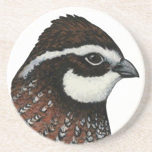 Bobwhite Quail Head Drink Coaster