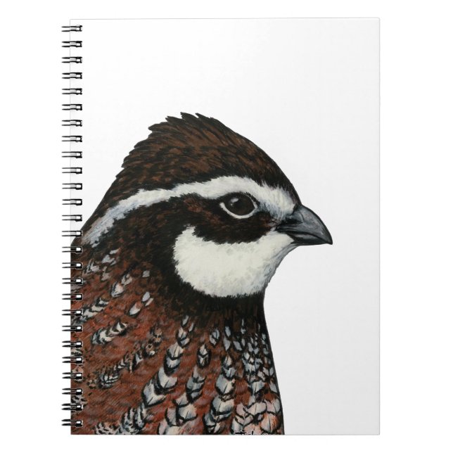 Bobwhite Quail Head Notebook (Front)