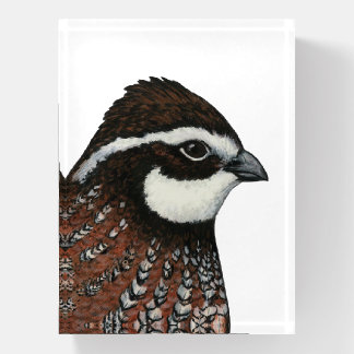Bobwhite Quail Head Paperweight