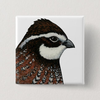 Bobwhite Quail Head Pinback Button