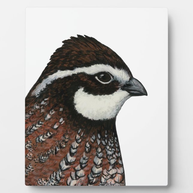 Bobwhite Quail Head Plaque (Front)