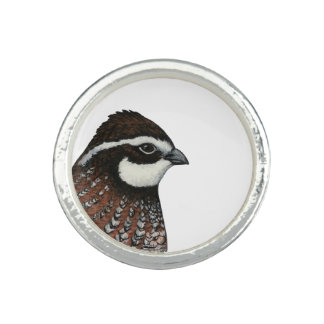 Bobwhite Quail Head Ring