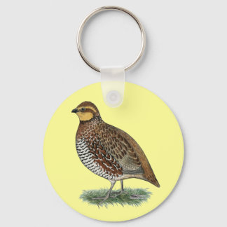 Bobwhite Quail Hen Keychain