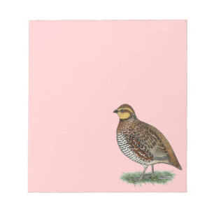Bobwhite Quail Hen Notepad