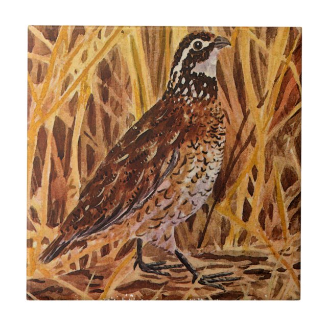 Bobwhite Quail Logo (field) Ceramic Tile (Front)