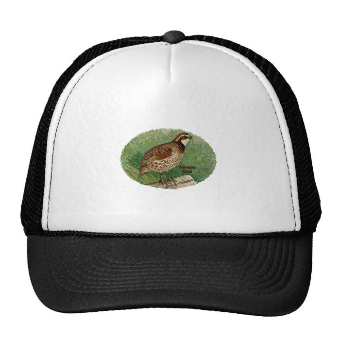 Bobwhite Quail Logo Hats