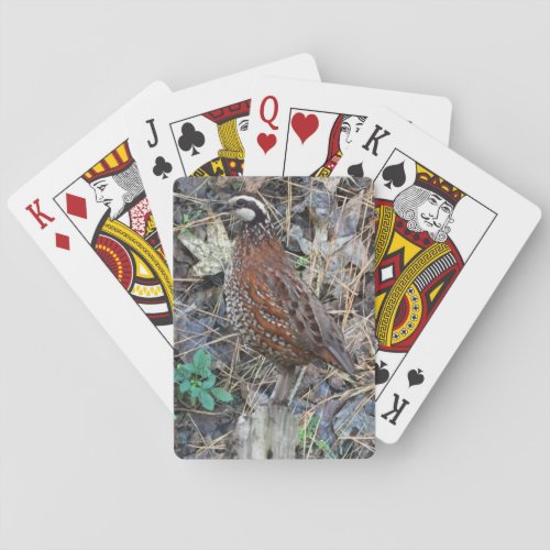 Bobwhite Quail Playing Cards Quail Hunting Poker Cards