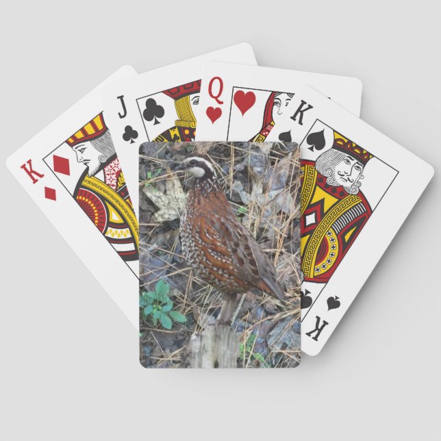 Bobwhite Quail Playing Cards, Quail Hunting Poker Cards (Back)