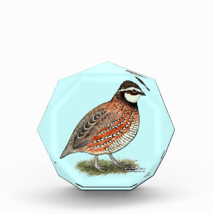 Bobwhite Quail Rooster Acrylic Award