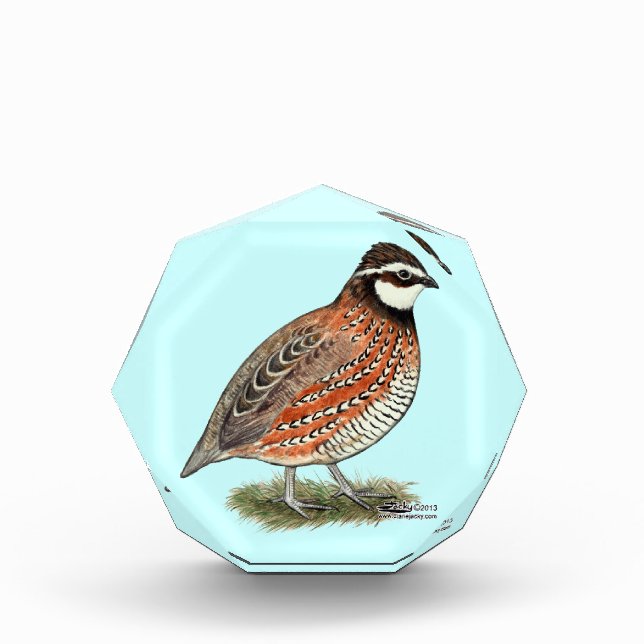 Bobwhite Quail Rooster Acrylic Award (Front)