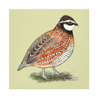 Bobwhite Quail Art & Framed Artwork | Zazzle