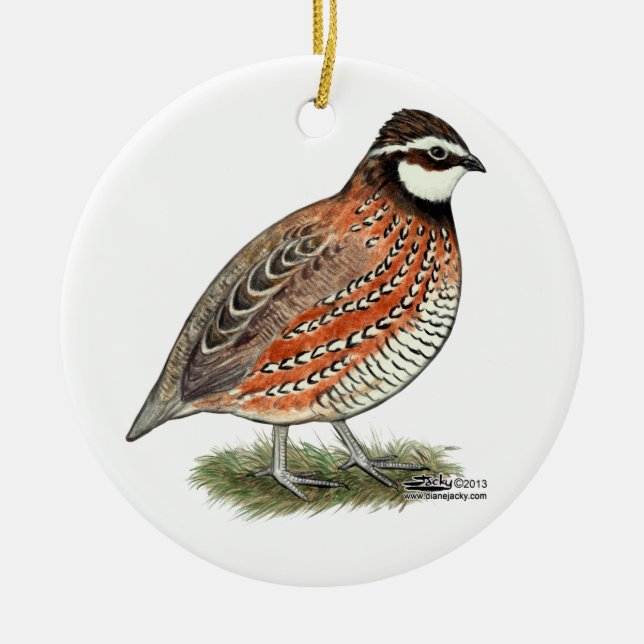 Bobwhite Quail Rooster Ceramic Ornament (Front)