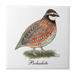 Bobwhite Quail Rooster Ceramic Tile