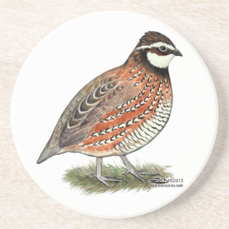Bobwhite Quail Rooster Drink Coaster