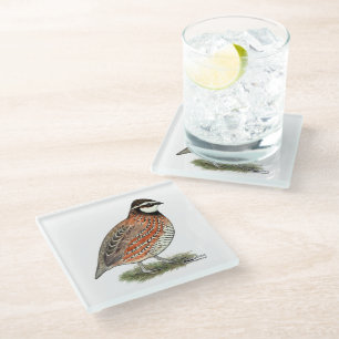 Bobwhite Quail Rooster Glass Coaster