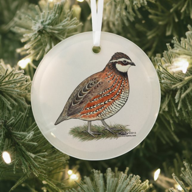 Bobwhite Quail Rooster Glass Ornament (Insitu)