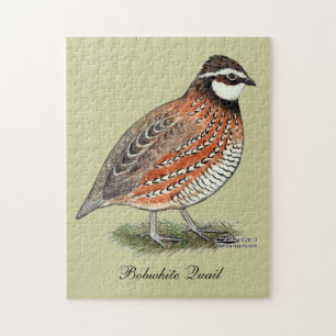 Bobwhite Quail Rooster Jigsaw Puzzle