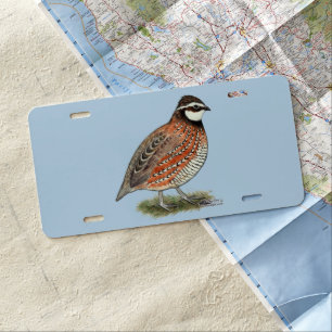Bobwhite Quail Rooster License Plate