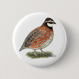 Bobwhite Quail Rooster Pinback Button