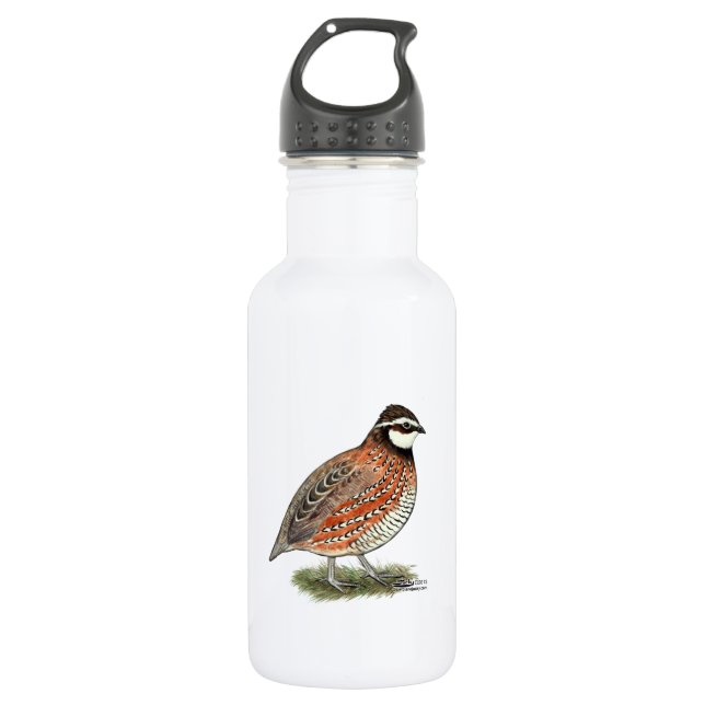 Bobwhite Quail Rooster Stainless Steel Water Bottle (Front)