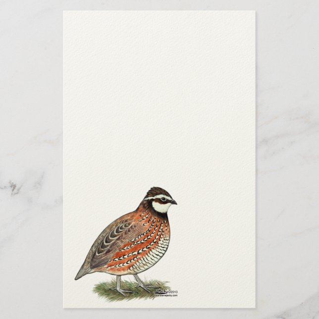 Bobwhite Quail Rooster Stationery (Front)
