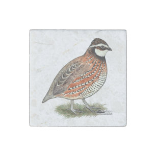 Bobwhite Quail Rooster Stone Magnet