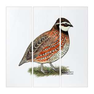 Bobwhite Quail Rooster Triptych