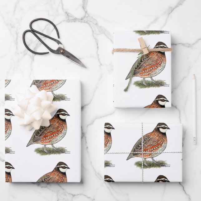Bobwhite Quail Rooster Wrapping Paper Sheets (Front)