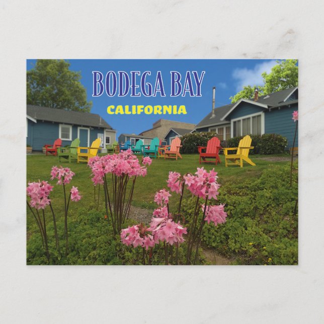 Bodega Bay  Bodega Harbor Inn Postcard (Front)