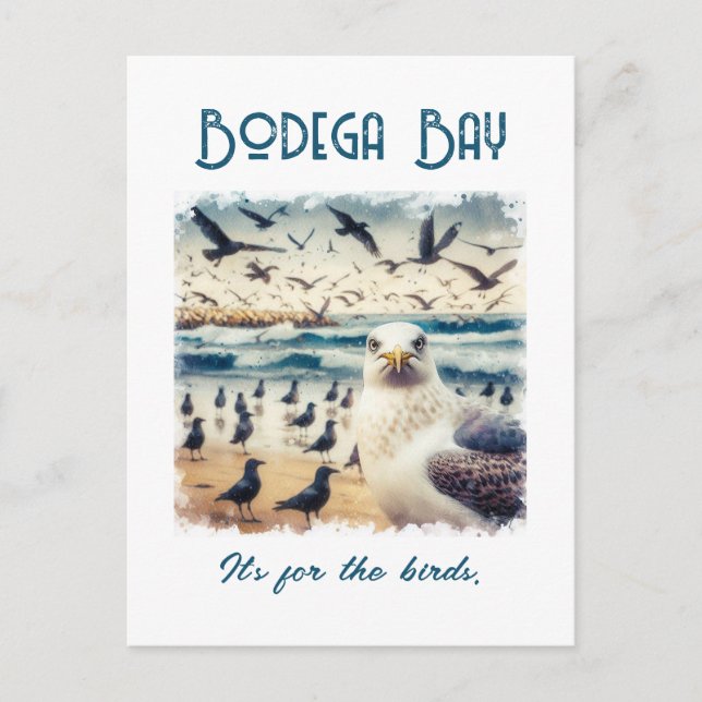 Bodega Bay California Souvenir Gift Postcard (Front)