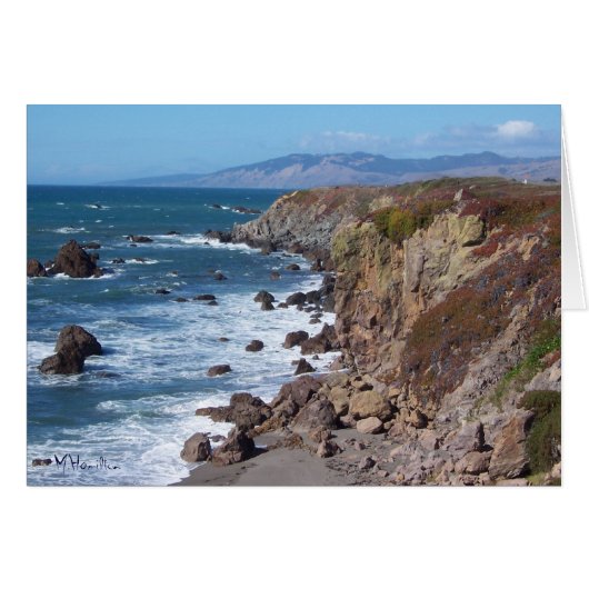 Bodega Bay Cards (Front Horizontal)