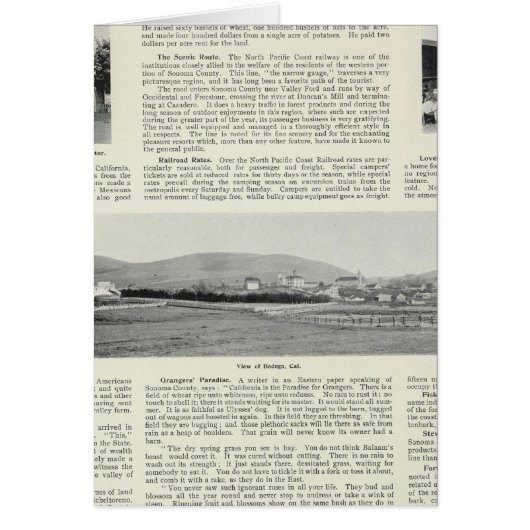 Bodega, California Cards (Front)
