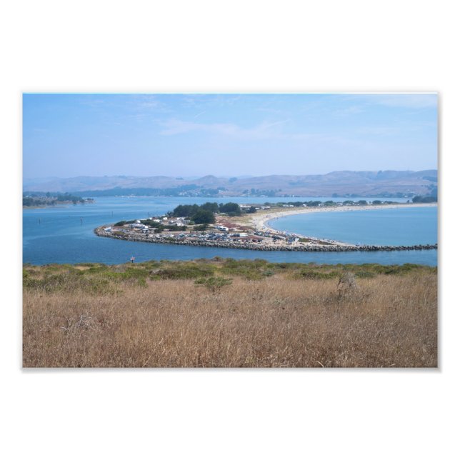 Bodega Harbor and Doran Park Photo Print (Front)