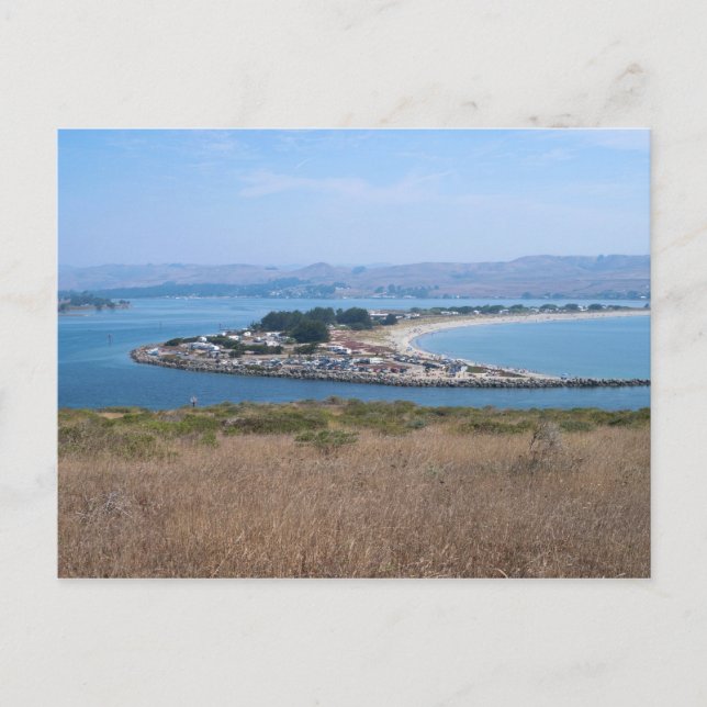 Bodega Harbor and Doran Park Postcard (Front)