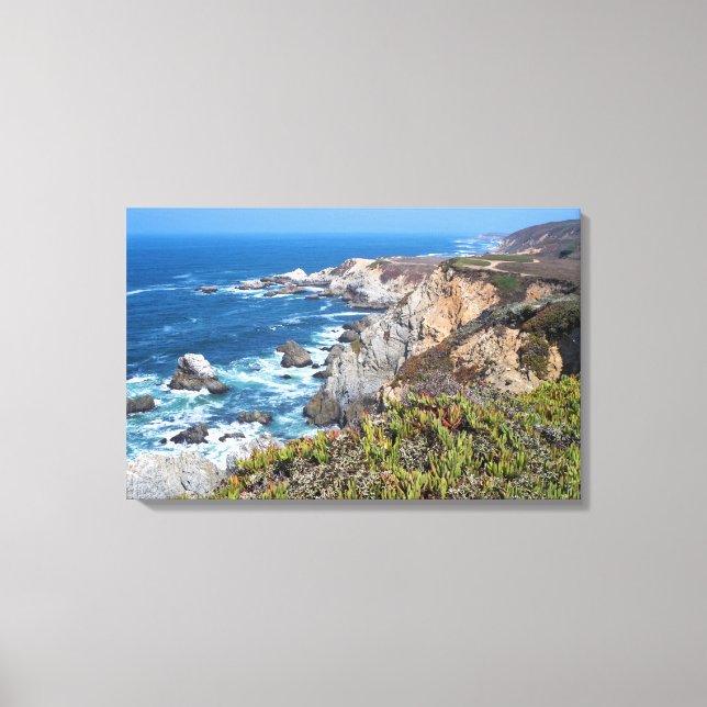 Bodega Head Rugged Coast and Trail Canvas Print (Front)