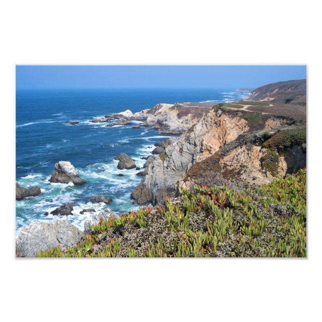 Bodega Head Rugged Coast and Trail Photo Print (Front)
