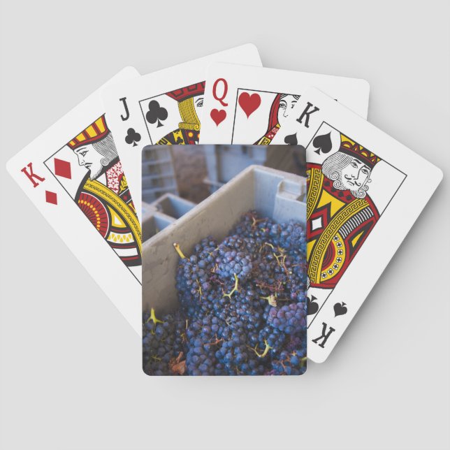 Bodega Marques de Riscal winery, grapes Poker Cards (Back)