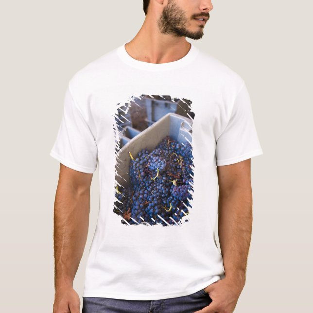 Bodega Marques de Riscal winery, grapes T-Shirt (Front)