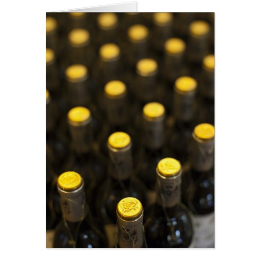 Bodega Marques de Riscal winery, wine bottles Cards (Front)