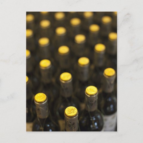 Bodega Marques de Riscal winery wine bottles Postcard