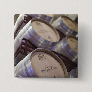 Bodega Marques de Riscal winery, wine cellar Pinback Button