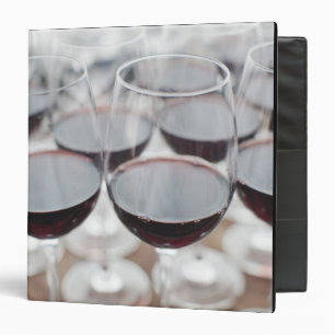 Bodega Marques de Riscal winery, wine tasting Binder