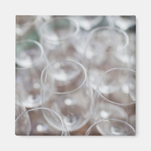 Bodega Marques de Riscal winery, wine tasting Magnet (Front)