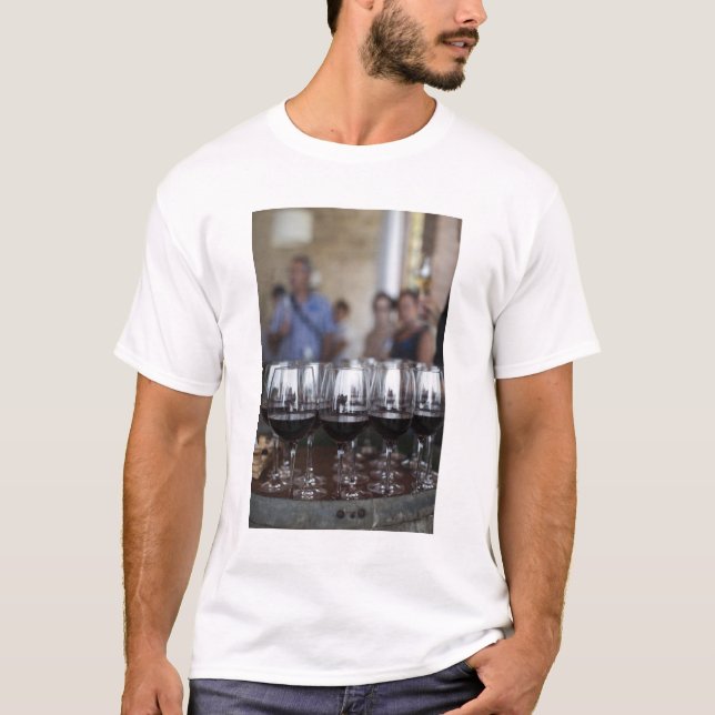 Bodega Marques de Riscal winery, wine tasting T-Shirt (Front)
